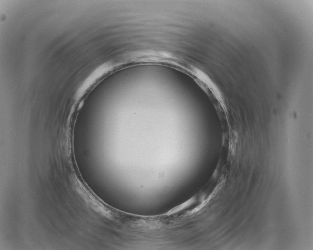 X0000081611384200702051343