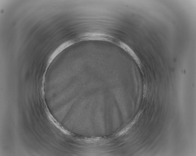 X0000081611386200702051343