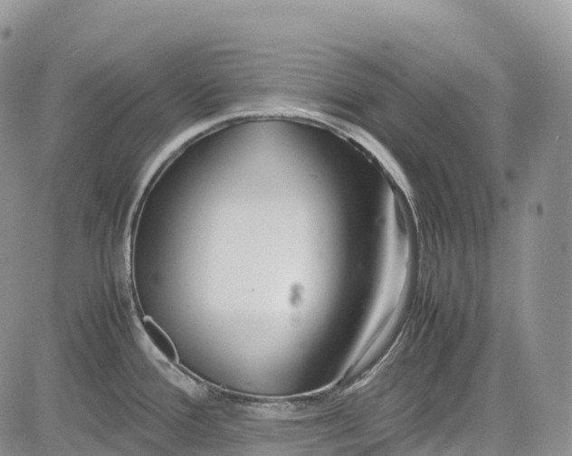 X0000081611388200702051343