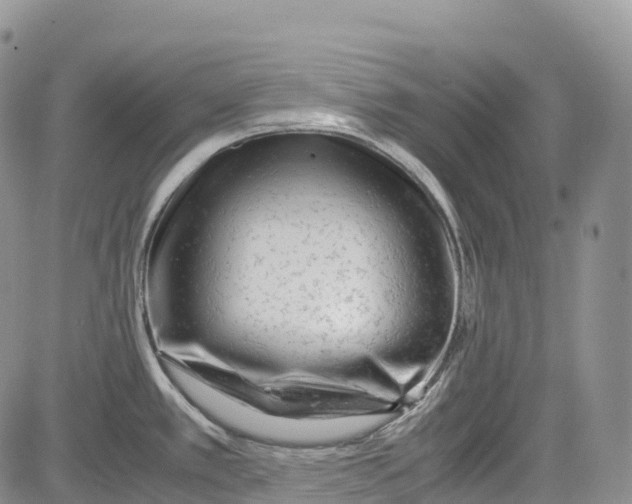 X0000081611389200702051343