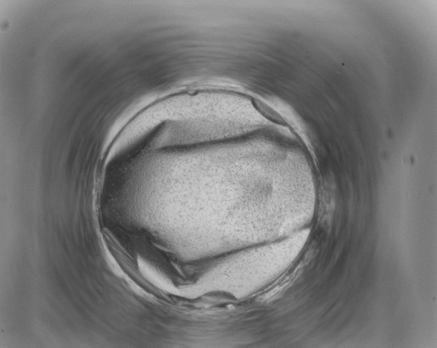 X0000081611390200702051343