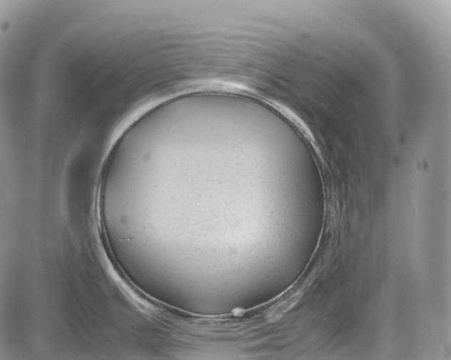 X0000081611391200702051343