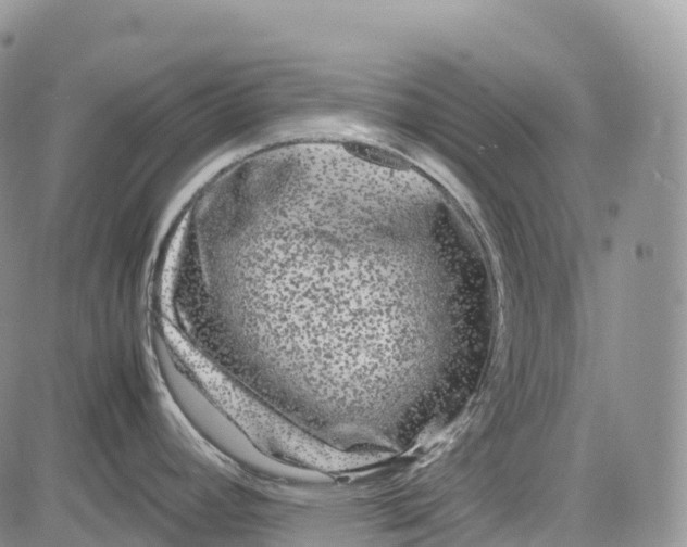 X0000081611392200702051343