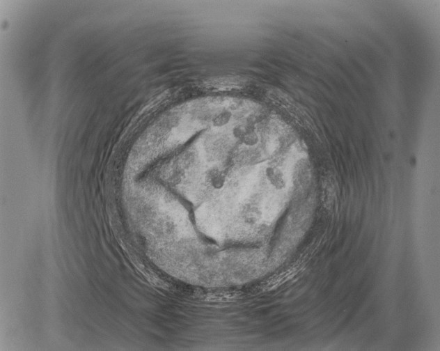 X0000081611393200702051342