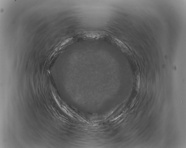 X0000081611394200702051342