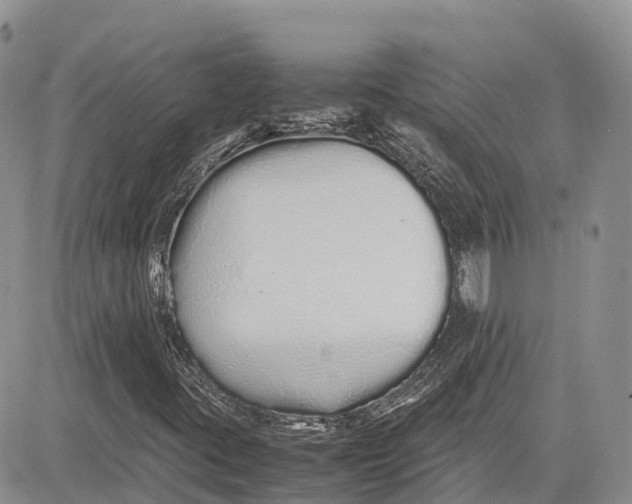 X0000081611395200702051342