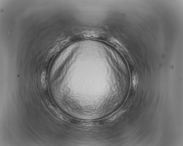 X0000081611396200702051342