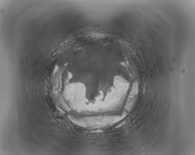 X0000081611397200702051342