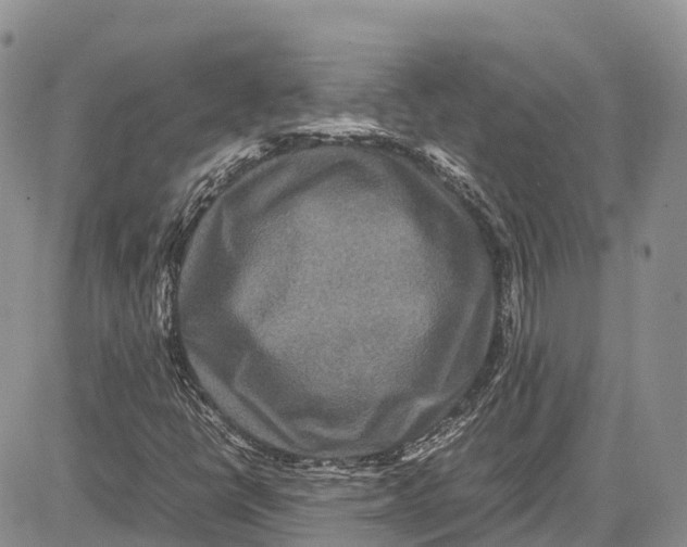 X0000081611398200702051342