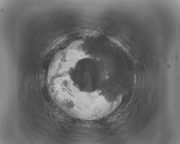 X0000081611399200702051342