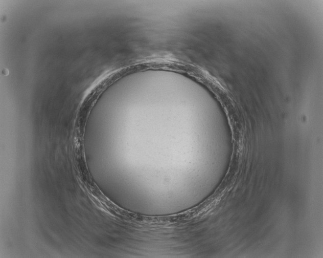 X0000081611400200702051342