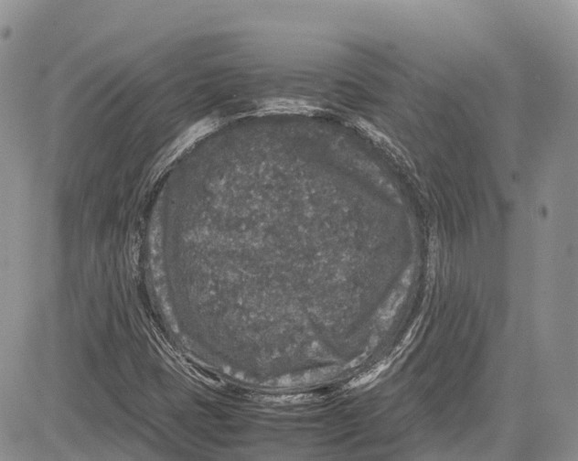 X0000081611401200702051342