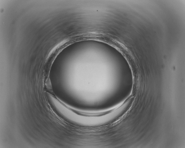 X0000081611402200702051342