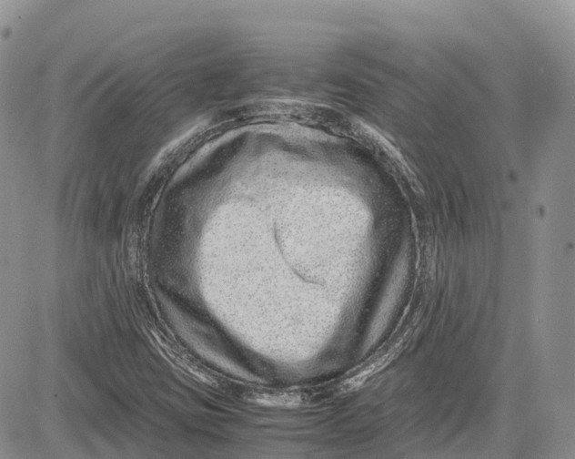 X0000081611403200702051343