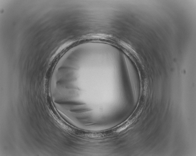 X0000081611404200702051343