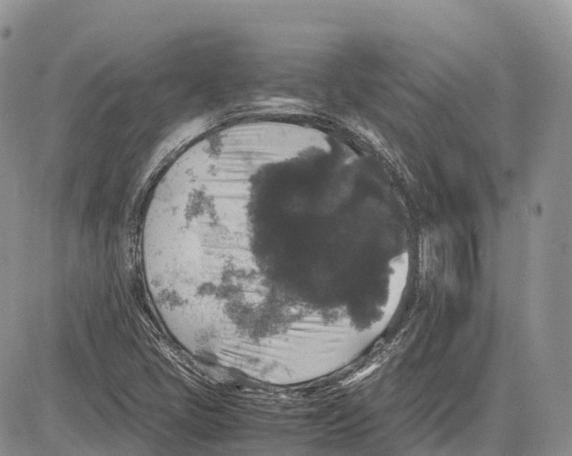 X0000081611405200702051343