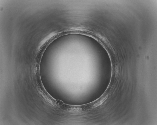 X0000081611406200702051343