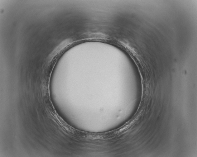 X0000081611407200702051343