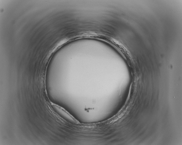 X0000081611409200702051343