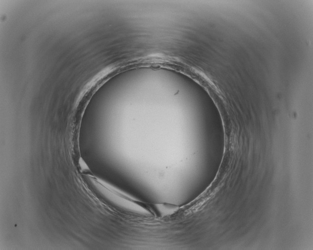 X0000081611410200702051343