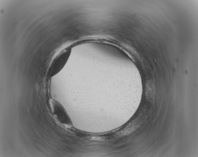 X0000081611412200702051343