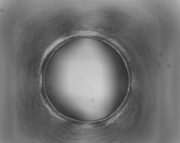 X0000081611414200702051343