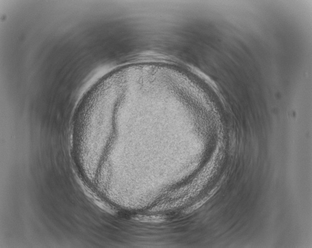 X0000081611415200702051343