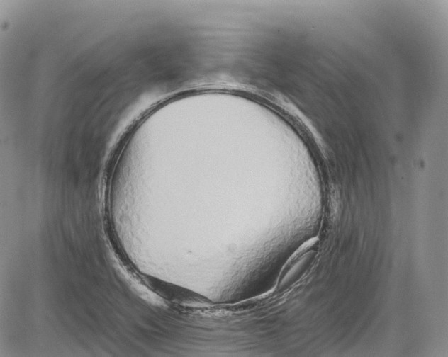 X0000081611416200702051343