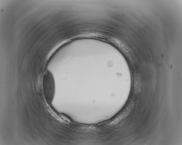 X0000081611417200702051343