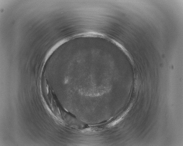 X0000081611418200702051343