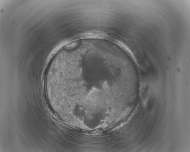 X0000081611419200702051343