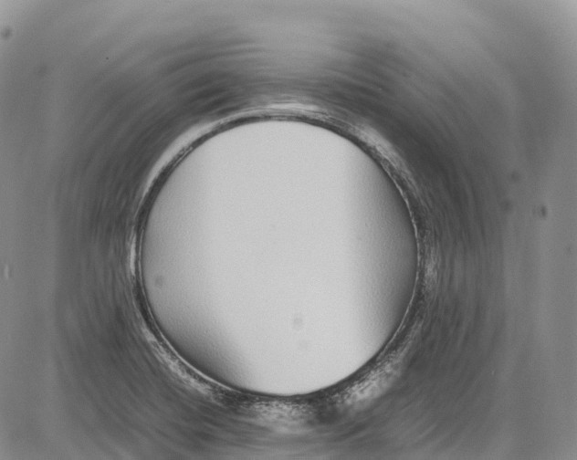 X0000081611420200702051343