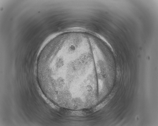 X0000081611421200702051343