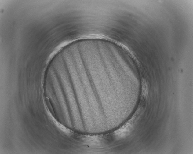 X0000081611422200702051343