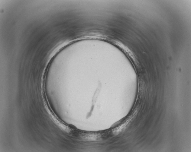 X0000081611423200702051343