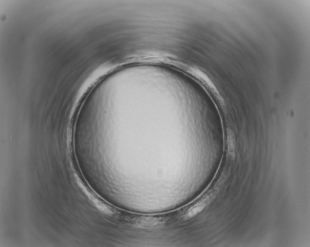 X0000081611424200702051343