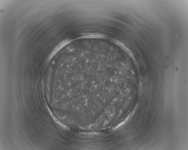 X0000081611425200702051343