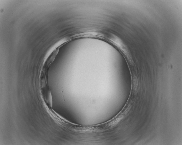 X0000081611426200702051343