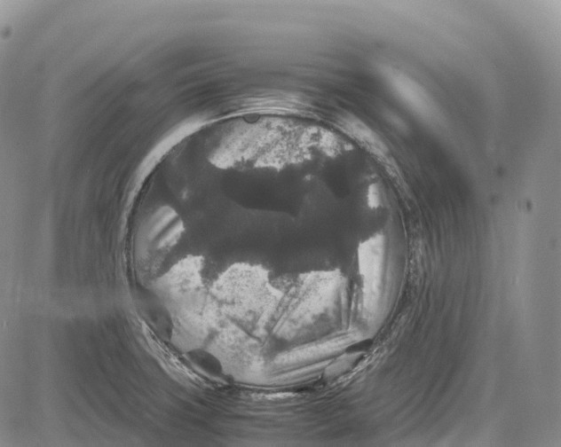 X0000081611427200702051343