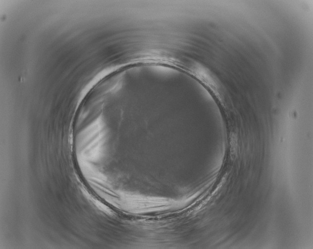 X0000081611428200702051343