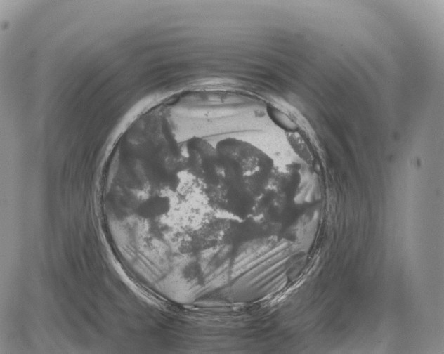 X0000081611429200702051343