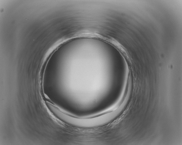 X0000081611430200702051343