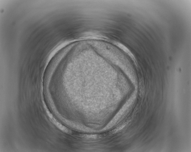 X0000081611431200702051343