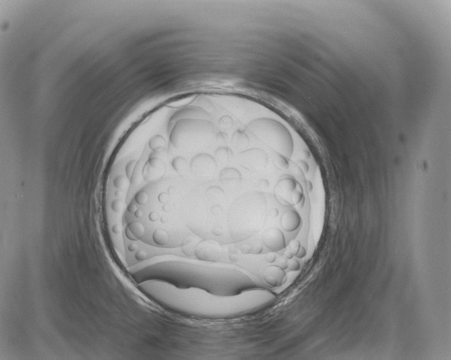 X0000081611432200702051343