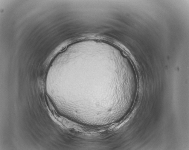 X0000081611433200702051343