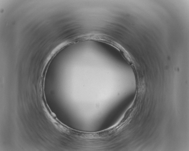 X0000081611434200702051343