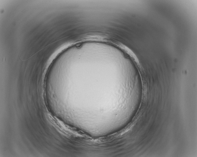 X0000081611435200702051343