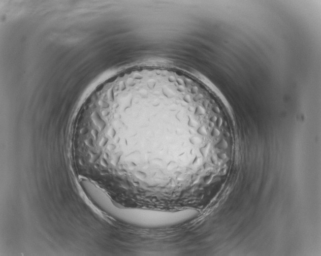 X0000081611437200702051343