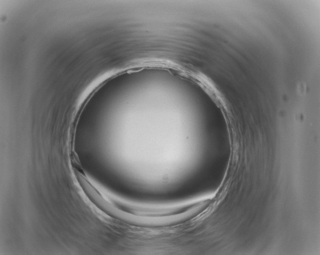 X0000081611438200702051343