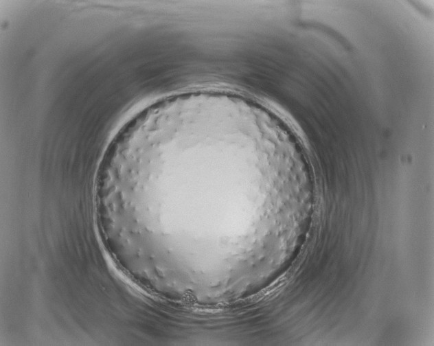 X0000081611439200702051343